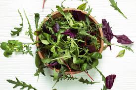 Mesclun Salad Veggie Fresh Papanui