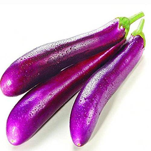 Long Eggplant Veggie Fresh Papanui