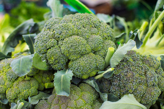 Broccoli Veggie Fresh Papanui