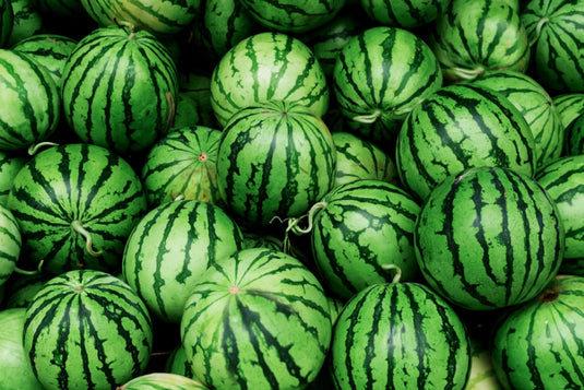 Watermelon Veggie Fresh Papanui