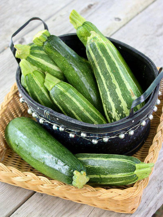 Courgette NZ Veggie Fresh Papanui